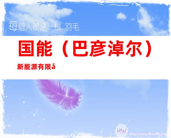 国能（巴彦淖尔）新能源有限公司